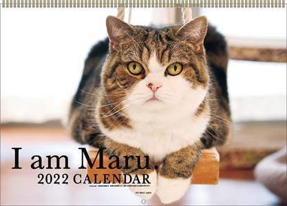 まるちゃん　２０２２年カレンダー