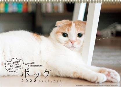 ポッケ　２０２２年カレンダー