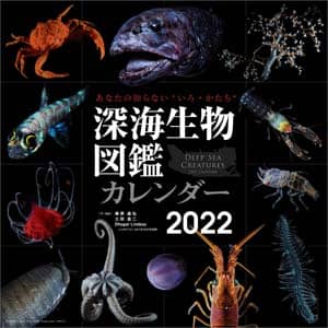 深海生物図鑑　２０２２年カレンダー