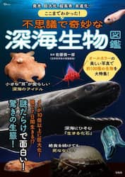 商品詳細画像