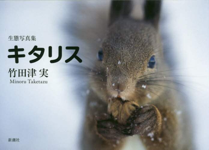 キタリス　生態写真集