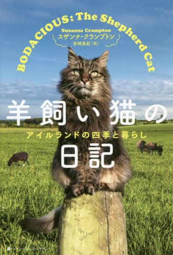 羊飼い猫の日記　アイルランドの四季と暮らし