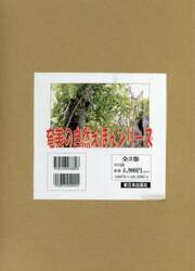 商品詳細画像