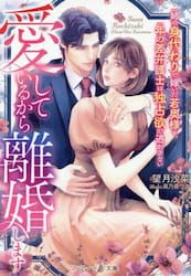 愛しているから離婚します　姉の身代わりで嫁いだ若奥様を、年の差弁護士は独占欲で逃がさない