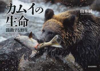 商品詳細画像