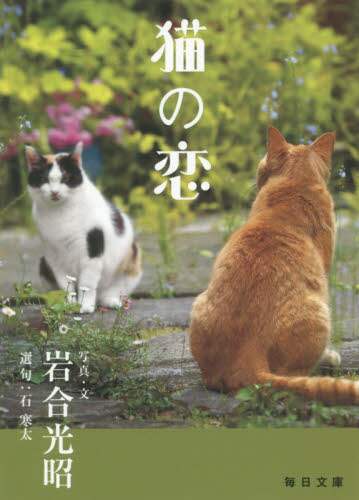猫の恋