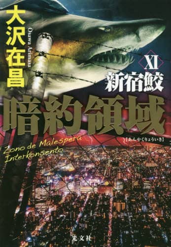 暗約領域