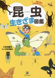 昆虫生きざま図鑑　虫に学ぶ生きぬくヒント