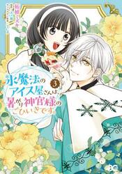 氷魔法のアイス屋さんは、暑がり神官様のごひいきです。　３