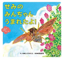 せみのみんちゃんうまれたよ！