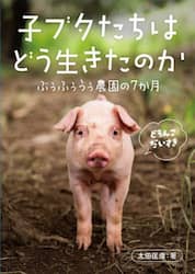 商品詳細画像