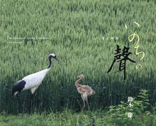 いのちの聲　にっぽん列島