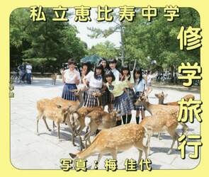 クリックして画像を拡大