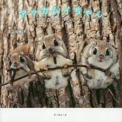 商品詳細画像