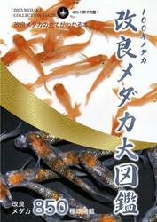 改良メダカ大図鑑　１００年メダカ　Ｖｏｌ．２０（２０２３）