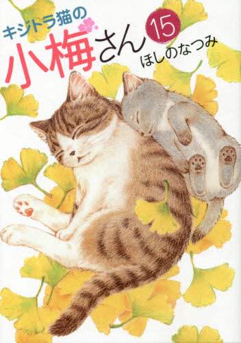 キジトラ猫の小梅さん 15 ほしのなつみ／著 – 三洋堂書店