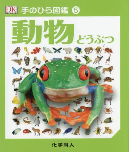 動物 動物
