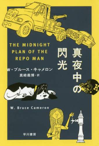 真夜中の閃光