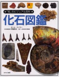 化石図鑑