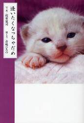 クリックして画像を拡大