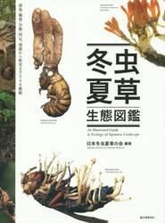 クリックして画像を拡大