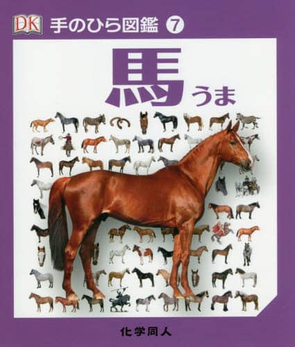馬 馬