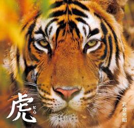 虎