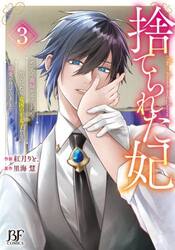 捨てられた妃　めでたく離縁が成立したので出ていったら、竜国の王太子からの溺愛が待っていました　３