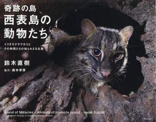 クリックして画像を拡大