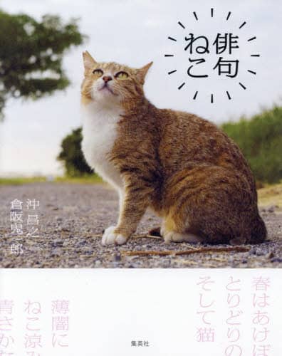 俳句ねこ