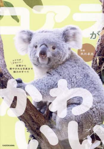 画像がみつかりません