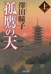 孤鷹の天　上