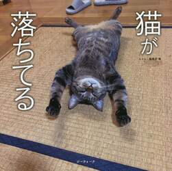 商品詳細画像
