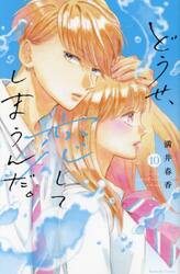 どうせ、恋してしまうんだ。　１０