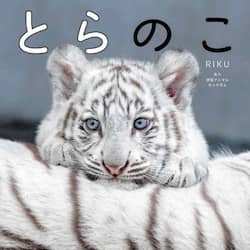 商品詳細画像