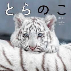 とらのこ　「ほぼねこ」なホワイトタイガーの赤ちゃん写真集