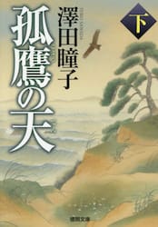 孤鷹の天　下