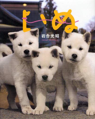 いぬ