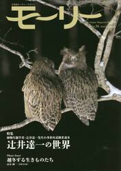 モーリー　北海道ネーチャーマガジン　５６