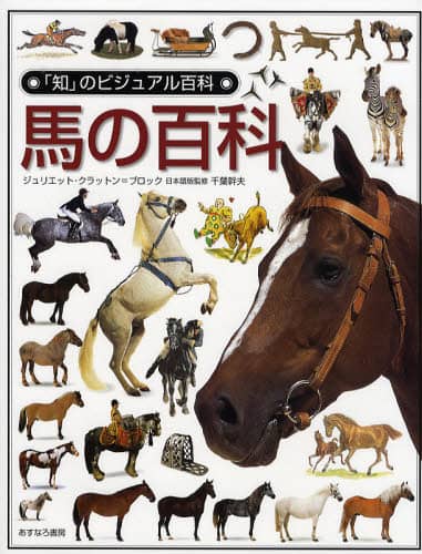 馬の百科