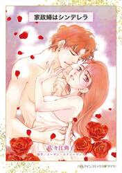 家政婦はシンデレラ