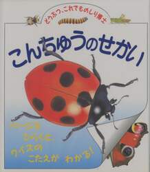 クリックして画像を拡大