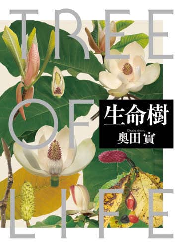 生命樹　奥田貫　TREE OF LIFE 生命樹 TREE OF LIFE/奥田實／著 本 ： オンライン
