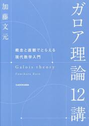 ガロア理論１２講　概念と直観でとらえる現代数学入門