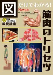 図だけでわかる！筋肉のトリセツ