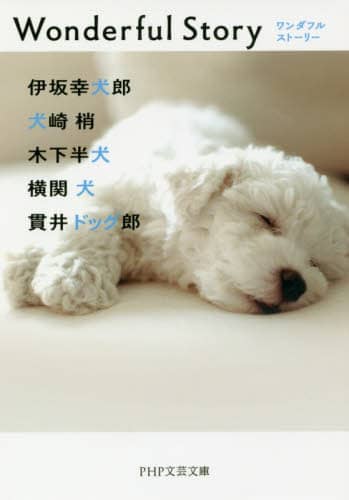 Ｗｏｎｄｅｒｆｕｌ　Ｓｔｏｒｙ