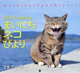 ’２４Ｃａｌｅｎｄａｒまいにちネコびより