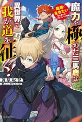 魔力を極めた三馬鹿は異世界で我が道を征く！　趣味に生きたい転生者たちのシリアスブレイク理論