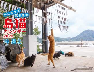 商品詳細画像