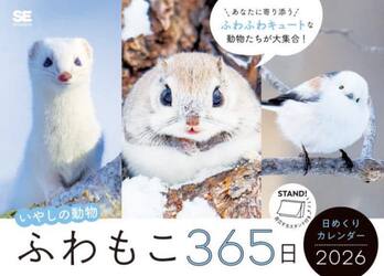 ’２６日めくりカレンダーふわもこ３６５日